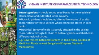 VIGNAN INSTITUTE OF PHARMACEUTICAL TECHNOLOGY
Botanic gardens – should set up seed banks for the medicinal
plants native and cultivated in the country.
Botanic gardens should set up alternative means of ex situ
conservation for those species which cannot be stored in seed
banks.
Botanical Survey of India is actively engaged in the ex-situ
conservation through its chain of Botanic gardens established in
different regional circles.
E.g. Government Botanical Gardens in Tamil Nadu, Garden of
Medicinal Plants in west Bengal and Empress Garden in
Maharashtra
 