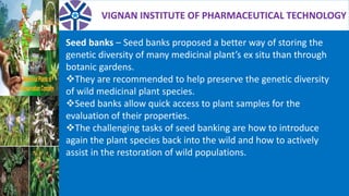 VIGNAN INSTITUTE OF PHARMACEUTICAL TECHNOLOGY
Seed banks – Seed banks proposed a better way of storing the
genetic diversity of many medicinal plant’s ex situ than through
botanic gardens.
They are recommended to help preserve the genetic diversity
of wild medicinal plant species.
Seed banks allow quick access to plant samples for the
evaluation of their properties.
The challenging tasks of seed banking are how to introduce
again the plant species back into the wild and how to actively
assist in the restoration of wild populations.
 