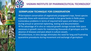 VIGNAN INSTITUTE OF PHARMACEUTICAL TECHNOLOGY
GERMPLASM TECHNIQUE FOR CONSERVATION
Germplasm conservation of vegetatively propagated crops, forest species
especially those with recalcitrant seeds in live gene banks in fields poses
tremendous problems in terms of required land space and labour input
during annual or perennial replanting, testing and documentation.
The advantage of in vitro or reduced growth storage include little space
necessary in growth rooms for maintaining thousands of genotypes and the
absence of diseases and pest attack in culture vessels.
Furthermore, in vitro storage eliminates the need for long and frustrating
quarantine procedures during movement and exchange of germplasm
 
