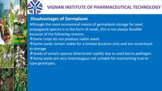 VIGNAN INSTITUTE OF PHARMACEUTICAL TECHNOLOGY
Although the most economical means of germplasm storage for seed
propagated species is in the form of seeds, this is not always feasible
because of the following reasons:
Some crops do not produce viable seeds
Some seeds remain viable for a limited duration only and are recalcitrant
to storage
Seeds of certain species deteriorate rapidly due to seed borne pathogen
Some seeds are very heterozygous not suitable for maintaining true to
type genotypes.
Disadvantages of Germplasm
 