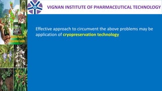 VIGNAN INSTITUTE OF PHARMACEUTICAL TECHNOLOGY
Effective approach to circumvent the above problems may be
application of cryopreservation technology
 