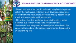 VIGNAN INSTITUTE OF PHARMACEUTICAL TECHNOLOGY
Medicinal plants and traditional medicine play an important
role in the health care system of most developing countries.
The traditional health care practice is mainly dependent on
medicinal plants collected from the wild.
In spite of this, the medicinal plant biodiversity is being
depleted due to man-made and natural calamities.
Moreover, the indigenous knowledge associated with the
conservation and use of medicinal plants is also disappearing
at an alarming rate
 
