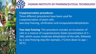 VIGNAN INSTITUTE OF PHARMACEUTICAL TECHNOLOGY
Cryopreservation procedures
Three different procedures have been used for
cryopreservation of plant cells:
two-step freezing, vitrification and encapsulationdehydration.
Two-step freezing: This procedure includes an incubation of
cells in a mixture of cryoprotectants (total concentration of 1–
2M), which causes moderate dehydration of the cells, followed
by a slow freezing step (for example, 1°C/min down to app –
35°C).
 
