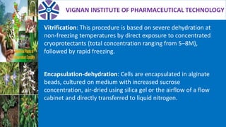 VIGNAN INSTITUTE OF PHARMACEUTICAL TECHNOLOGY
Vitrification: This procedure is based on severe dehydration at
non-freezing temperatures by direct exposure to concentrated
cryoprotectants (total concentration ranging from 5–8M),
followed by rapid freezing.
Encapsulation-dehydration: Cells are encapsulated in alginate
beads, cultured on medium with increased sucrose
concentration, air-dried using silica gel or the airflow of a flow
cabinet and directly transferred to liquid nitrogen.
 