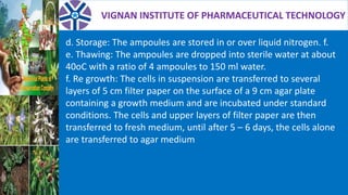 VIGNAN INSTITUTE OF PHARMACEUTICAL TECHNOLOGY
d. Storage: The ampoules are stored in or over liquid nitrogen. f.
e. Thawing: The ampoules are dropped into sterile water at about
40oC with a ratio of 4 ampoules to 150 ml water.
f. Re growth: The cells in suspension are transferred to several
layers of 5 cm filter paper on the surface of a 9 cm agar plate
containing a growth medium and are incubated under standard
conditions. The cells and upper layers of filter paper are then
transferred to fresh medium, until after 5 – 6 days, the cells alone
are transferred to agar medium
 