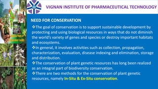 VIGNAN INSTITUTE OF PHARMACEUTICAL TECHNOLOGY
NEED FOR CONSERVATION
The goal of conservation is to support sustainable development by
protecting and using biological resources in ways that do not diminish
the world’s variety of genes and species or destroy important habitats
and ecosystems.
In general, it involves activities such as collection, propagation,
characterization, evaluation, disease indexing and elimination, storage
and distribution.
The conservation of plant genetic resources has long been realized
as an integral part of biodiversity conservation.
There are two methods for the conservation of plant genetic
resources, namely In-Situ & Ex-Situ conservation.
 