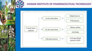 VIGNAN INSTITUTE OF PHARMACEUTICAL TECHNOLOGY
 