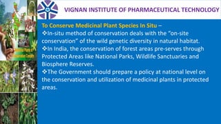 VIGNAN INSTITUTE OF PHARMACEUTICAL TECHNOLOGY
To Conserve Medicinal Plant Species In Situ –
In-situ method of conservation deals with the “on-site
conservation” of the wild genetic diversity in natural habitat.
In India, the conservation of forest areas pre-serves through
Protected Areas like National Parks, Wildlife Sanctuaries and
Biosphere Reserves.
The Government should prepare a policy at national level on
the conservation and utilization of medicinal plants in protected
areas.
 