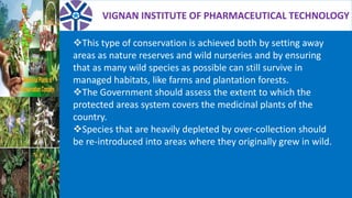 VIGNAN INSTITUTE OF PHARMACEUTICAL TECHNOLOGY
This type of conservation is achieved both by setting away
areas as nature reserves and wild nurseries and by ensuring
that as many wild species as possible can still survive in
managed habitats, like farms and plantation forests.
The Government should assess the extent to which the
protected areas system covers the medicinal plants of the
country.
Species that are heavily depleted by over-collection should
be re-introduced into areas where they originally grew in wild.
 