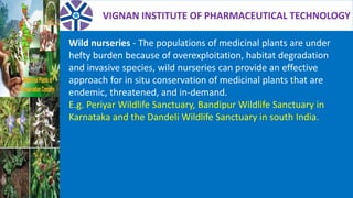 VIGNAN INSTITUTE OF PHARMACEUTICAL TECHNOLOGY
Wild nurseries - The populations of medicinal plants are under
hefty burden because of overexploitation, habitat degradation
and invasive species, wild nurseries can provide an effective
approach for in situ conservation of medicinal plants that are
endemic, threatened, and in-demand.
E.g. Periyar Wildlife Sanctuary, Bandipur Wildlife Sanctuary in
Karnataka and the Dandeli Wildlife Sanctuary in south India.
 