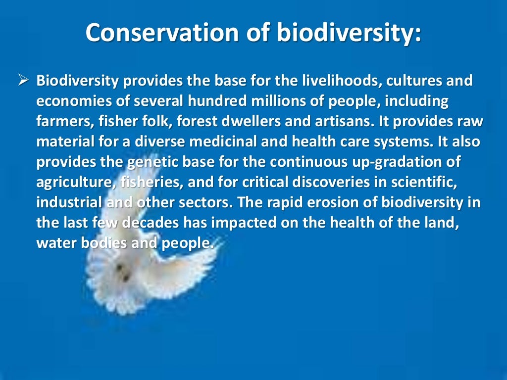 Conservation Of Natural Resources ppt