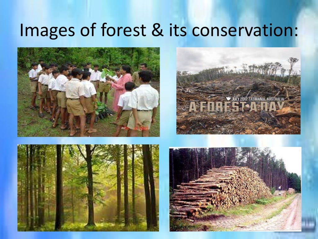 Conservation Of Natural Resources ppt