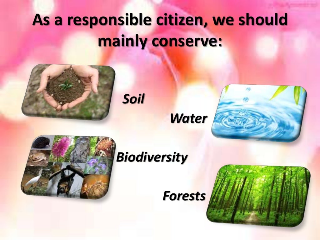 conservation of natural resources assignment