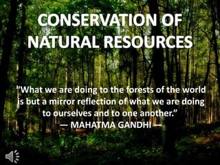 “What we are doing to the forests of the world
is but a mirror reflection of what we are doing
to ourselves and to one another.”
― MAHATMA GANDHI ―

 