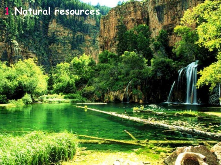 Result Of Conservation Of Natural Resources Result Of Conservation Of Natural Resources