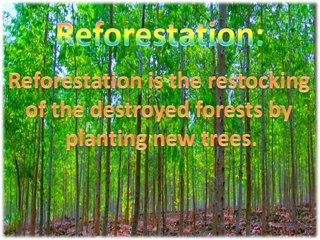 conservation-of-plants-and-animals-ppt