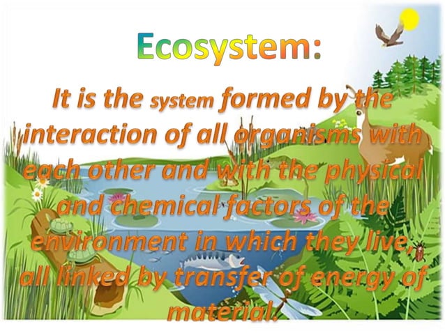 conservation-of-plants-and-animals-ppt