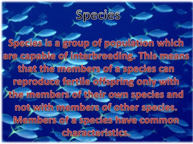 conservation-of-plants-and-animals-ppt