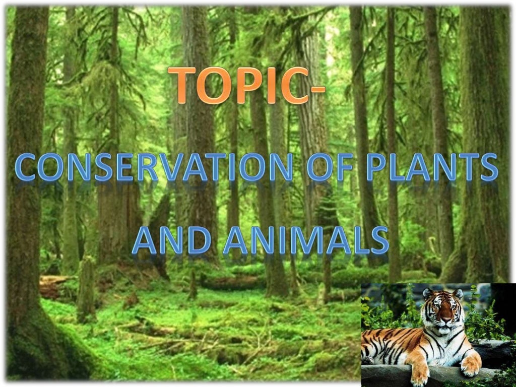 Conservation of plants and animals
