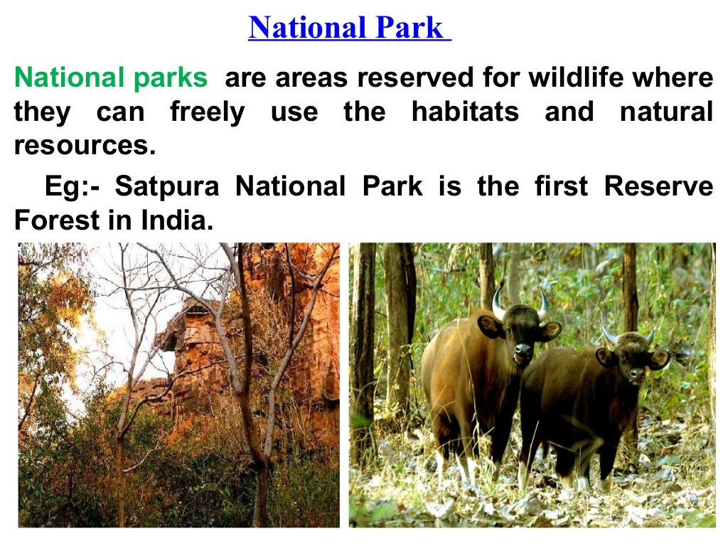 Conservation of Plants and Animals