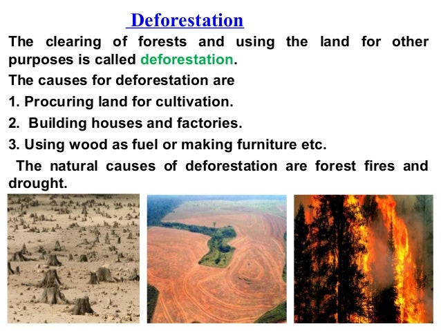 Conservation Of Plants And Animals