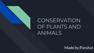 CONSERVATION
OF PLANTS AND
ANIMALS
Made by:Panshul
 