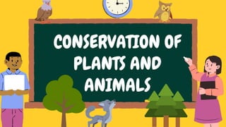 CONSERVATION OF
PLANTS AND
ANIMALS
 
