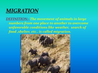 Migration Definition Science Conservation of plants and animals biology | PPTX