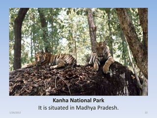 Kanha National Park
            It is situated in Madhya Pradesh.
1/26/2012                                       22
 