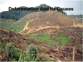 Deforestation And Its Causes




1/26/2012                           3
 
