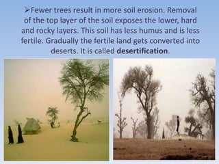 Fewer trees result in more soil erosion. Removal
     of the top layer of the soil exposes the lower, hard
    and rocky layers. This soil has less humus and is less
    fertile. Gradually the fertile land gets converted into
              deserts. It is called desertification.




1/26/2012                                                     9
 