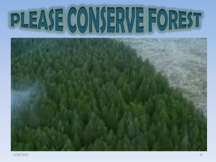 promoting conservation of fauna and flora Conservation - promoting » preservation - promotion » the restoration phares » planning » flora and fauna » international cooperation » research and exchange. promoting conservation of fauna and flora Conservation - promoting » preservation - promotion » the restoration phares » planning » flora and fauna » international cooperation » research and exchange.