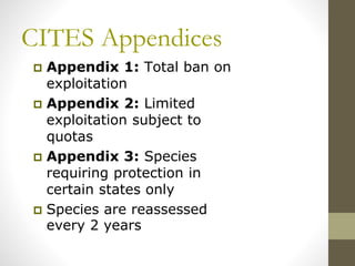 Conservation program for endangered species | PPTX
