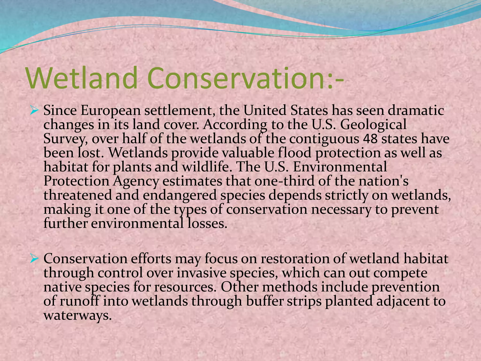 Wetland Conservation:-
 Since European settlement, the United States has seen dramatic
changes in its land cover. According to the U.S. Geological
Survey, over half of the wetlands of the contiguous 48 states have
been lost. Wetlands provide valuable flood protection as well as
habitat for plants and wildlife. The U.S. Environmental
Protection Agency estimates that one-third of the nation's
threatened and endangered species depends strictly on wetlands,
making it one of the types of conservation necessary to prevent
further environmental losses.
 Conservation efforts may focus on restoration of wetland habitat
through control over invasive species, which can out compete
native species for resources. Other methods include prevention
of runoff into wetlands through buffer strips planted adjacent to
waterways.
 