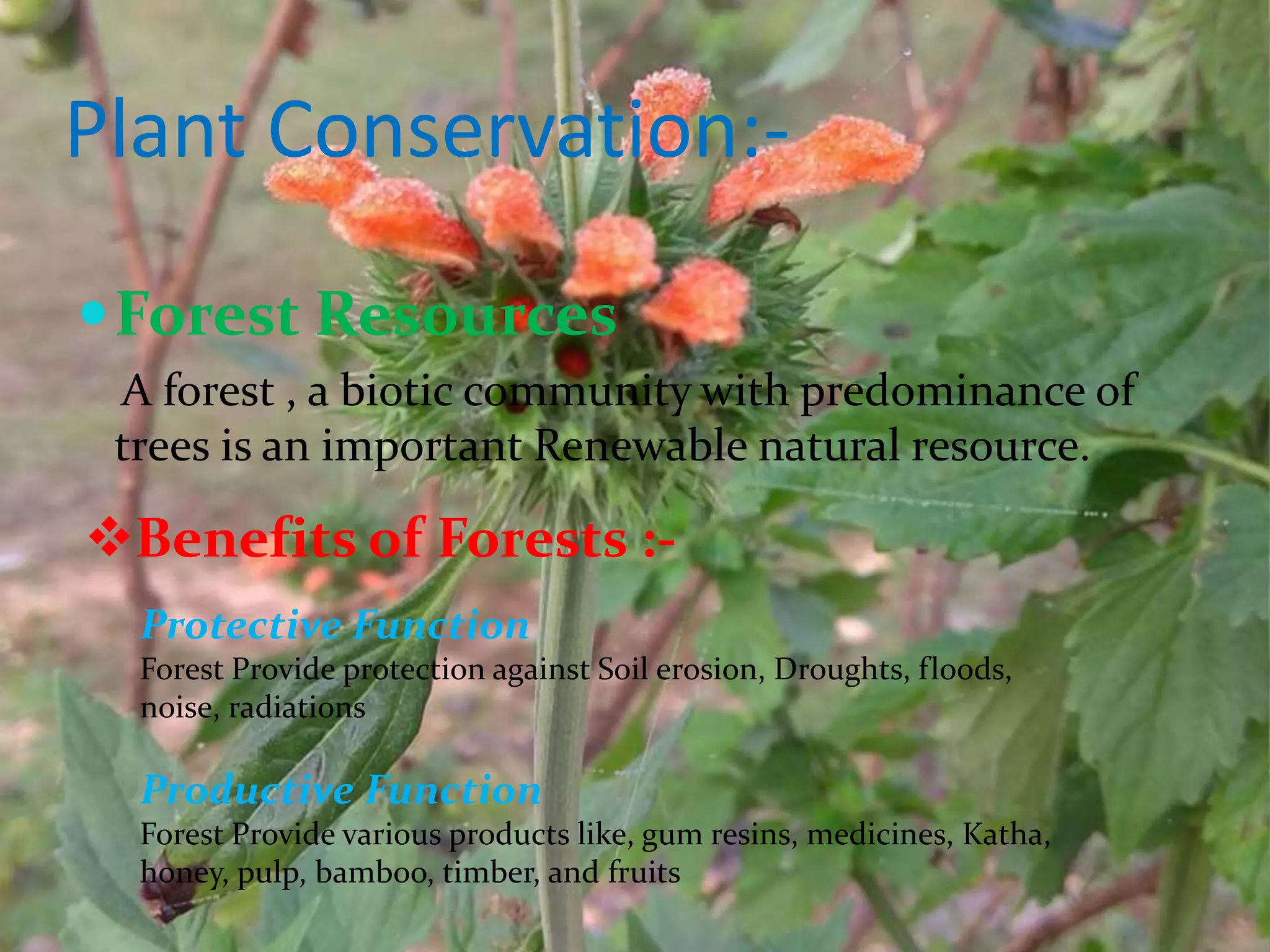 Plant Conservation:-
Forest Resources
A forest , a biotic community with predominance of
trees is an important Renewable natural resource.
Benefits of Forests :-
Protective Function
Forest Provide protection against Soil erosion, Droughts, floods,
noise, radiations
Productive Function
Forest Provide various products like, gum resins, medicines, Katha,
honey, pulp, bamboo, timber, and fruits
 
