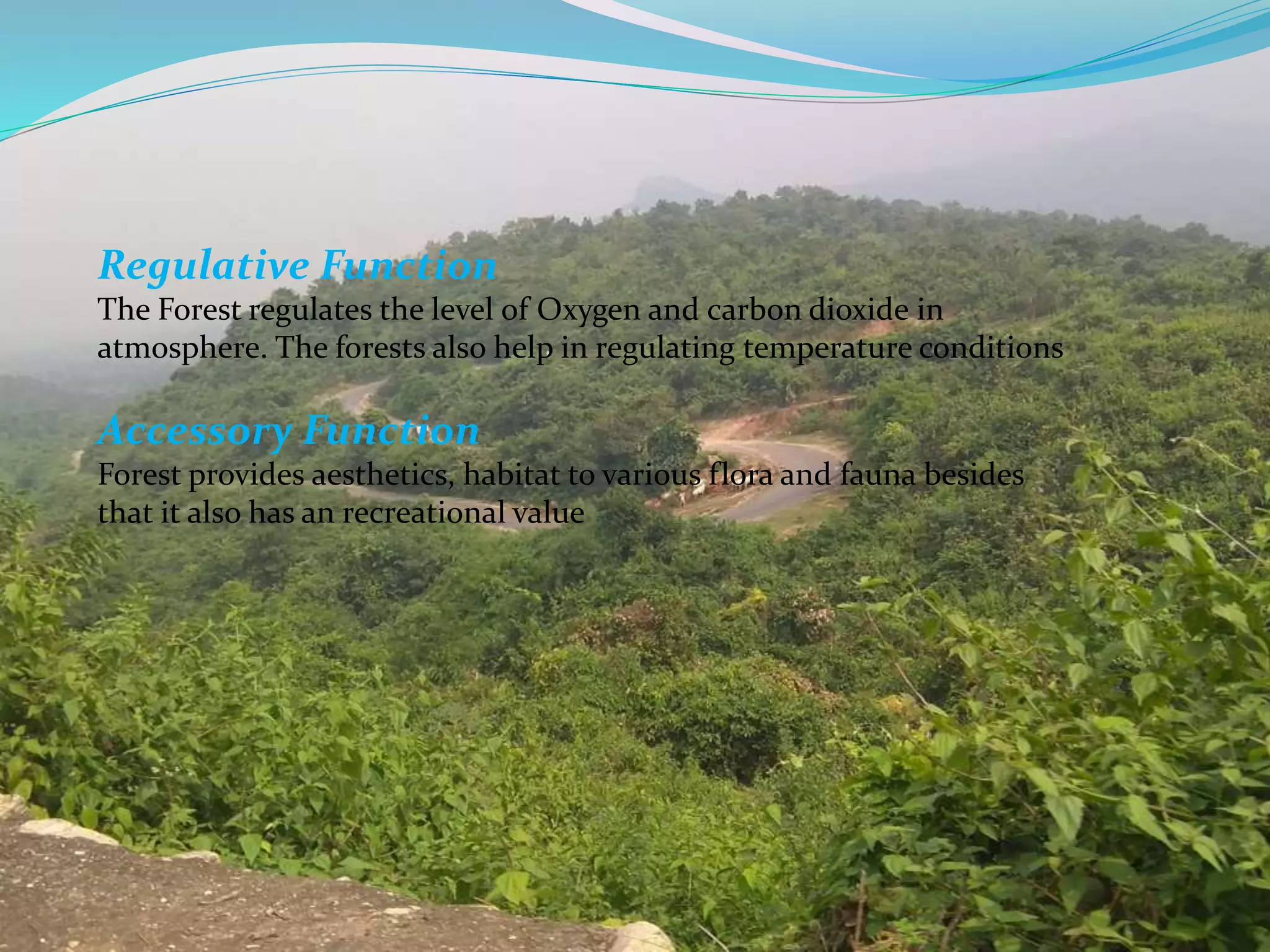 Regulative Function
The Forest regulates the level of Oxygen and carbon dioxide in
atmosphere. The forests also help in regulating temperature conditions
Accessory Function
Forest provides aesthetics, habitat to various flora and fauna besides
that it also has an recreational value
 