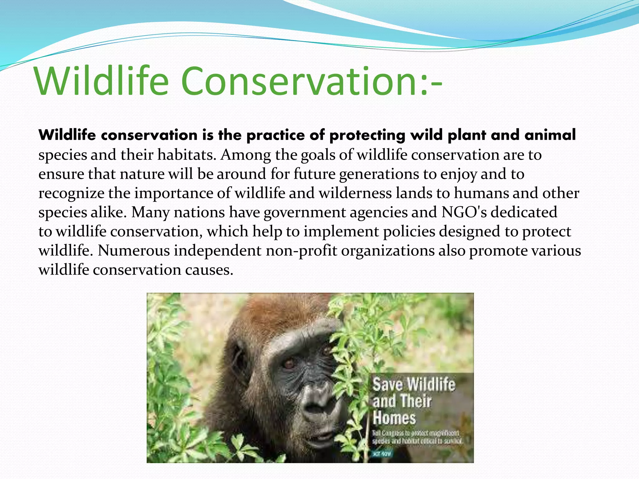 Wildlife Conservation:-
Wildlife conservation is the practice of protecting wild plant and animal
species and their habitats. Among the goals of wildlife conservation are to
ensure that nature will be around for future generations to enjoy and to
recognize the importance of wildlife and wilderness lands to humans and other
species alike. Many nations have government agencies and NGO's dedicated
to wildlife conservation, which help to implement policies designed to protect
wildlife. Numerous independent non-profit organizations also promote various
wildlife conservation causes.
 