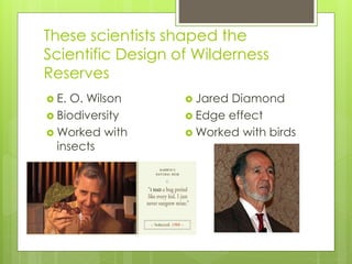 These scientists shaped the
Scientific Design of Wilderness
Reserves
 E. O. Wilson
 Biodiversity
 Worked with
insects
 Jared Diamond
 Edge effect
 Worked with birds
 