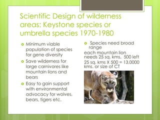 Scientific Design of wilderness
areas: Keystone species or
umbrella species 1970-1980
 Minimum viable
population of species
for gene diversity
 Save wilderness for
large carnivores like
mountain lions and
bears
 Easy to gain support
with environmental
advocacy for wolves,
bears, tigers etc.
 Species need broad
range
each mountain lion
needs 25 sq. kms. 500 left
25 sq. kms X 500 = 13,0000
kms. or size of CT
 