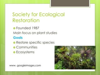 Society for Ecological
Restoration
 Founded 1987
Main focus on plant studies
Goals
 Restore specific species
 Communities
 Ecosystems
www. googleimages.com
 