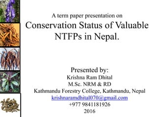 A term paper presentation on
Conservation Status of Valuable
NTFPs in Nepal.
Presented by:
Krishna Ram Dhital
M.Sc. NRM & RD
Kathmandu Forestry College, Kathmandu, Nepal
krishnaramdhital070@gmail.com
+977 9841181926
2016
 