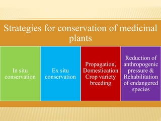 Strategies for conservation of medicinal
plants
In situ
conservation
Ex situ
conservation
Propagation,
Domestication
Crop variety
breeding
Reduction of
anthropogenic
pressure &
Rehabilitation
of endangered
species
 