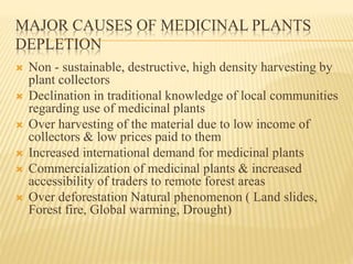 MAJOR CAUSES OF MEDICINAL PLANTS
DEPLETION
 Non - sustainable, destructive, high density harvesting by
plant collectors
 Declination in traditional knowledge of local communities
regarding use of medicinal plants
 Over harvesting of the material due to low income of
collectors & low prices paid to them
 Increased international demand for medicinal plants
 Commercialization of medicinal plants & increased
accessibility of traders to remote forest areas
 Over deforestation Natural phenomenon ( Land slides,
Forest fire, Global warming, Drought)
 