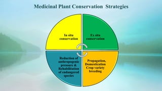 In situ
conservation
Ex situ
conservation
Propagation,
Domestication
Crop variety
breeding
Reduction of
anthropogenic
pressure &
Rehabilitation
of endangered
species
Medicinal Plant Conservation Strategies
 