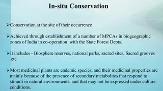 Conservation at the site of their occurrence
Achieved through establishment of a number of MPCAs in biogeographic
zones of India in co-operation with the State Forest Depts.
It includes - Biosphere reserves, national parks, sacred sites, Sacred grooves
etc
Most medicinal plants are endemic species, and their medicinal properties are
mainly because of the presence of secondary metabolites that respond to
stimuli in natural environments, and that may not be expressed under culture
conditions.
In-situ Conservation
 