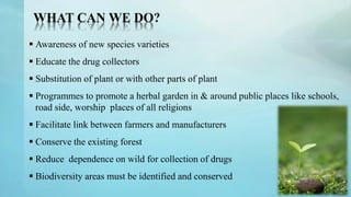 WHAT CAN WE DO?
 Awareness of new species varieties
 Educate the drug collectors
 Substitution of plant or with other parts of plant
 Programmes to promote a herbal garden in & around public places like schools,
road side, worship places of all religions
 Facilitate link between farmers and manufacturers
 Conserve the existing forest
 Reduce dependence on wild for collection of drugs
 Biodiversity areas must be identified and conserved
 