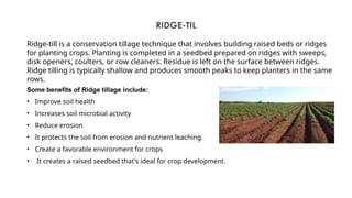 Conservation Tillage- A sustainable Approach.pptx