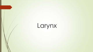 Larynx
 