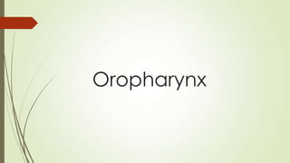 Oropharynx
 
