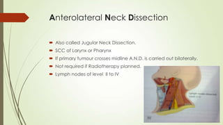 Anterolateral Neck Dissection
 Also called Jugular Neck Dissection.
 SCC of Larynx or Pharynx
 If primary tumour crosses midline A.N.D. is carried out bilaterally.
 Not required if Radiotherapy planned.
 Lymph nodes of level II to IV
 